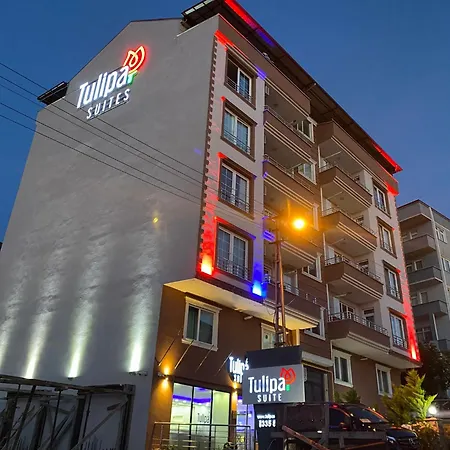 Tulipa Trabzon Bostanci
