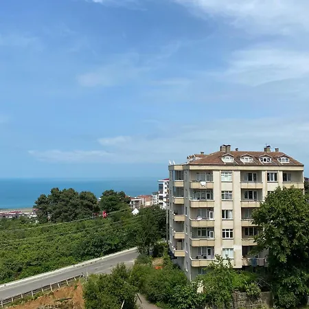 Tulipa Trabzon Daire